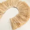 Fábrica en stock venta al por mayor fila de rafia planta de bigote borla decoración del hogar manualidades colgante de borla