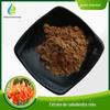 Extrato de Pueraria Montana Yan Zi 10:1/30:1/50:1 Fábrica de Extrato de Pueraria Montana Vermelha em estoque Pó de Pueraria Montana Yan Zi