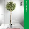 Planta em Vaso Planta Biónica Verde Estilo Ins para Casa Interior Planta Artificial Bonsai Verdinha Simulação Oliveira Adereços de Fotografia