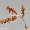Flores Artificiales, Flores Secas Estilo Wabi-Sabi, Hojas Secas, Frutos de Pipa, Hortensias de Borde Tostado, Materiales Florales Vintage, Frutos de Espino Marítimo, Decoraciones de Mesa, Flores de Seda