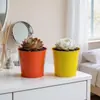 Maceta Pequeña de Hierro Adorno de Escritorio, Decoración Personalizada, Maceta Pequeña para Suculentas, Maceta Simple Creativa Estilo Americano para Plantas Verdes