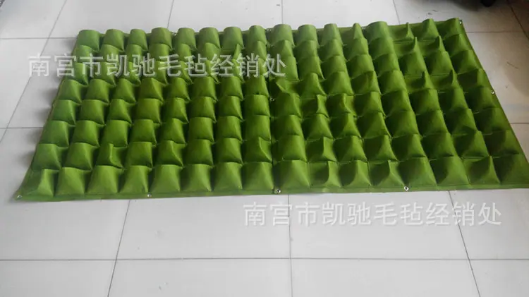 QQ图片20150719151203_副本.jpg