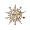 Broche Decorativo Explosivo do TikTok 2024 Novo Estilo Estilo Perfumado Pino Duplo C Camélia Perfumada Pérola Acessórios Mulheres