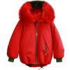 Mamão leite inverno Nova Moda jaqueta acolchoada de algodão solta com capuz gola de pele quente Parker casaco casual tendência