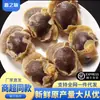 Carne de Caracol Fresca Pelada, Caracol Grande, Carne de Caracol Congelada, Cabeza y Vísceras Retiradas, Mariscos y Productos Acuáticos, Venta al por Mayor Comercial, Envío Gratis Sf