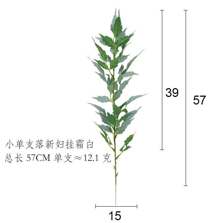 络新妇小单支-挂霜白.jpg