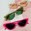 2026 Nuevas Gafas de Sol Moda Retro Ojo de Gato para Mujer Gafas de Sol con Protección UV Montura Triangular Moderna para Hombre