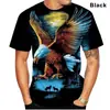 Explosiones de Verano 2024 Nueva Camiseta con Estampado 3D de Águila Camiseta con Patrón de Pájaro Moda Callejera para Hombre y Mujer Manga Corta Top Casual