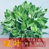 Flores de Cerámica Hechas a Mano a Alta Temperatura de Jingdezhen, Flores Artificiales, Jarrones, Flores Preservadas, Ramos de Flores, Decoraciones con Flores Secas