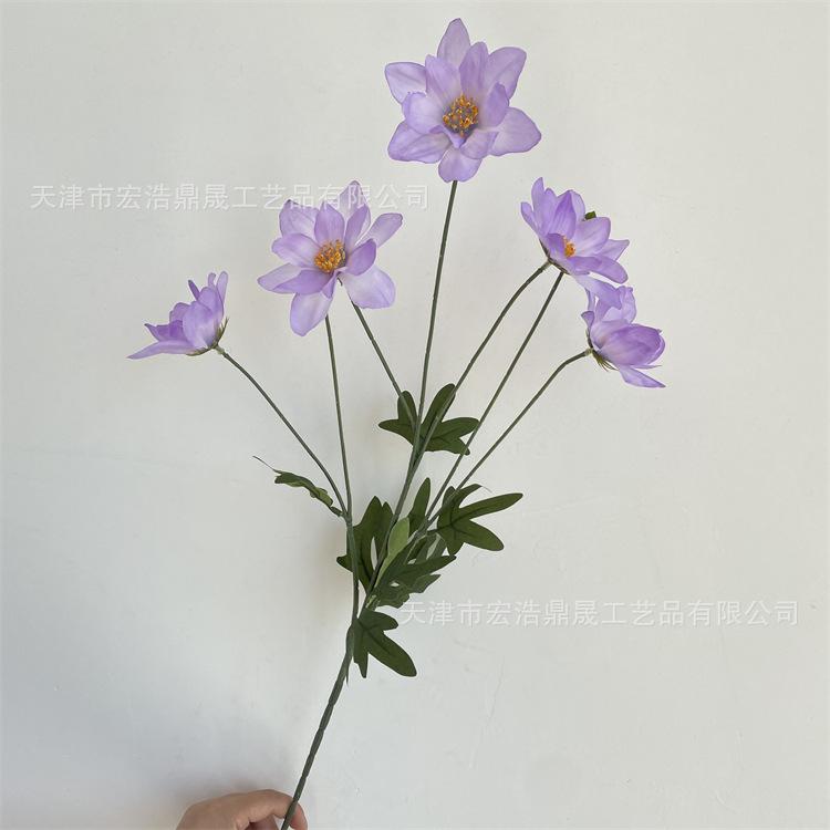 微信图片_202208311711014