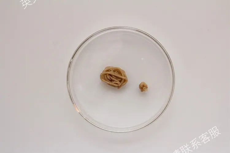 蟑螂药,蟑螂针剂,,2.5%吡虫啉,杀蟑胶饵,蟑螂药代发