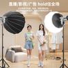 Luz de relleno de alta potencia en el estudio, rejilla profunda, luz de fotografía constante, equipo de iluminación de estudio HD de 250W