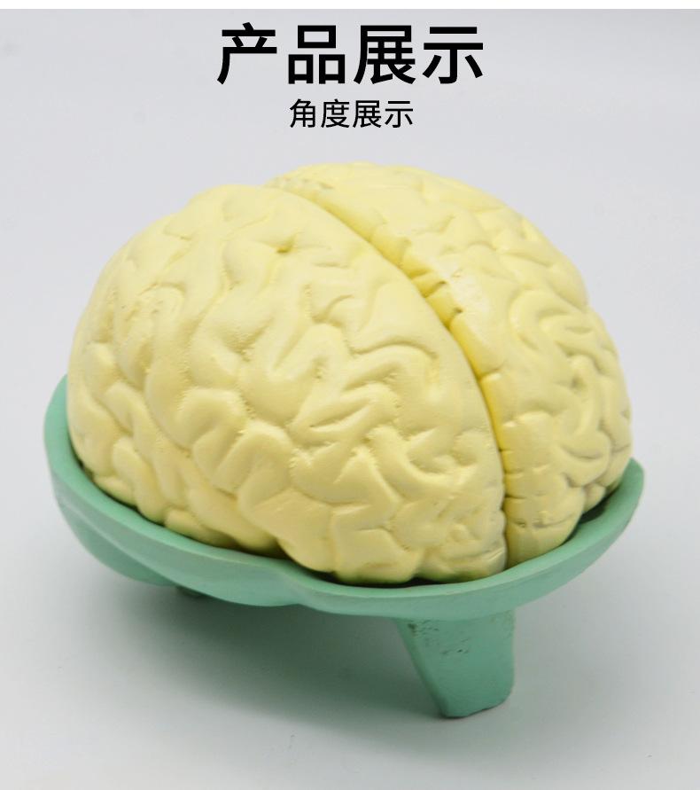 详情_06.jpg