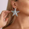 Brincos de Estrela do Mar Personalidade Exagerada Transfronteiriços Europeus e Americanos Estilo Oceano Brincos Simples da Moda Acessórios de Brincos de Liga Leve Atacado