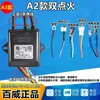 Ignitor de Pulso Universal Changwei para Calentador de Agua a Gas, Controlador de Ignición Tipo Tiro, Accesorios para Calentador de Agua