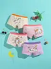 Ropa Interior Nueva para Niñas, Ropa Interior Infantil de Algodón Puro, Calzoncillos tipo bóxer Cómodos y Transpirables para Niñas, Ropa Interior para Niñas, Venta al por Mayor Directa del Fabricante