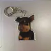 Gato Cheems Divertido y Perro Paquete de Expresiones Divertidas Llavero Acrílico Colgante para Mochila Pequeño Regalo