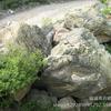 Pedra de Rio Recomendada para Paisagismo de Aquário, Pedra Flor da Chuva, Seixos Lavados e Peneirados, Pedra Paisagística Seixo Grande de Cor Nativa