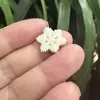 Adornos Navideños Creativos Musgo Micro Paisaje Botella Ecológica Accesorios Árbol de Navidad Suculenta Decorativos Pequeños Adornos Escena DIY