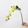 Colgante de planta Fruto de aliso Pegamento suave Fruto de frijol del amor Colgante de pared Decoración de paisajismo Accesorios para arreglos florales Seda suave