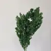 Venta al por mayor de Flores de Pino Inmortalizadas para Flores Secas Transfronterizas, Productos Florales DIY, Ramos, Decoración del Hogar, Arreglos Florales con Flores Reales, Yunnan