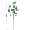 O eucalipto de eucalipto de Amazon deixa a castanha verde da planta da simulação multicolor com a haste que pendura folhas brancas do eucalipto da geada 3D