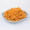 Nuevos Lanzamientos: Flores de Cordyceps Secas, Especialidad de Granja, Cabezas de Esporas de Cordyceps Sinensis Frescas Secadas al Sol