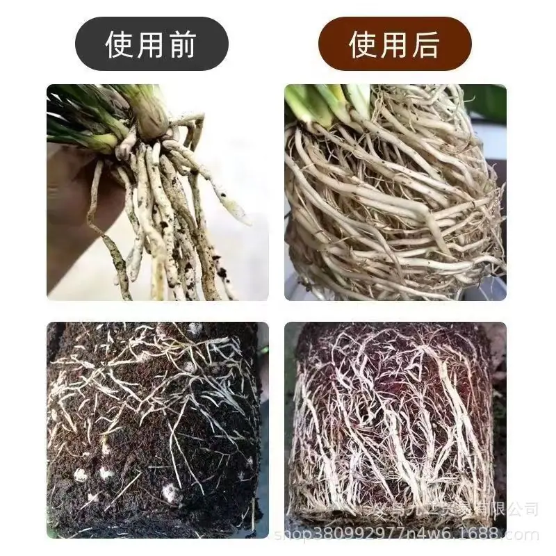 快速生根液