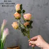 Liquidação de 90% de desconto: Rosas Secas de Cinco Cabeças para Decoração de Casamento, Flores Artificiais Atacado, Flores Realistas Estilo Ins, Fabricante para Decoração de Casa, Transfronteiriço