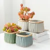 Maceta carnosa pintada a mano estilo coreano nueva maceta de flores carnosas pintada a mano tamaño mediano creativa maceta para plantas verdes gres transpirable venta al por mayor