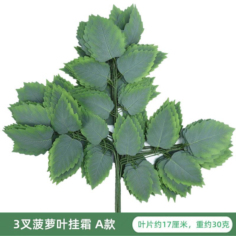 IMG_6811_副本_副本.jpg