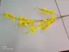 Direto da fábrica alta qualidade flor artificial dançante Orquídea Planta artificial para casamento Orquídea Wen Xin decoração de casa flores atacado