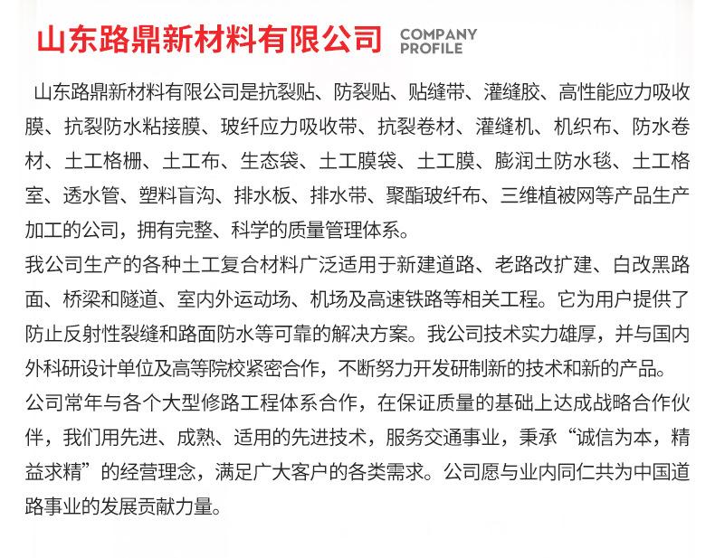 1经编玻纤格栅缝合无纺布1_10.jpg