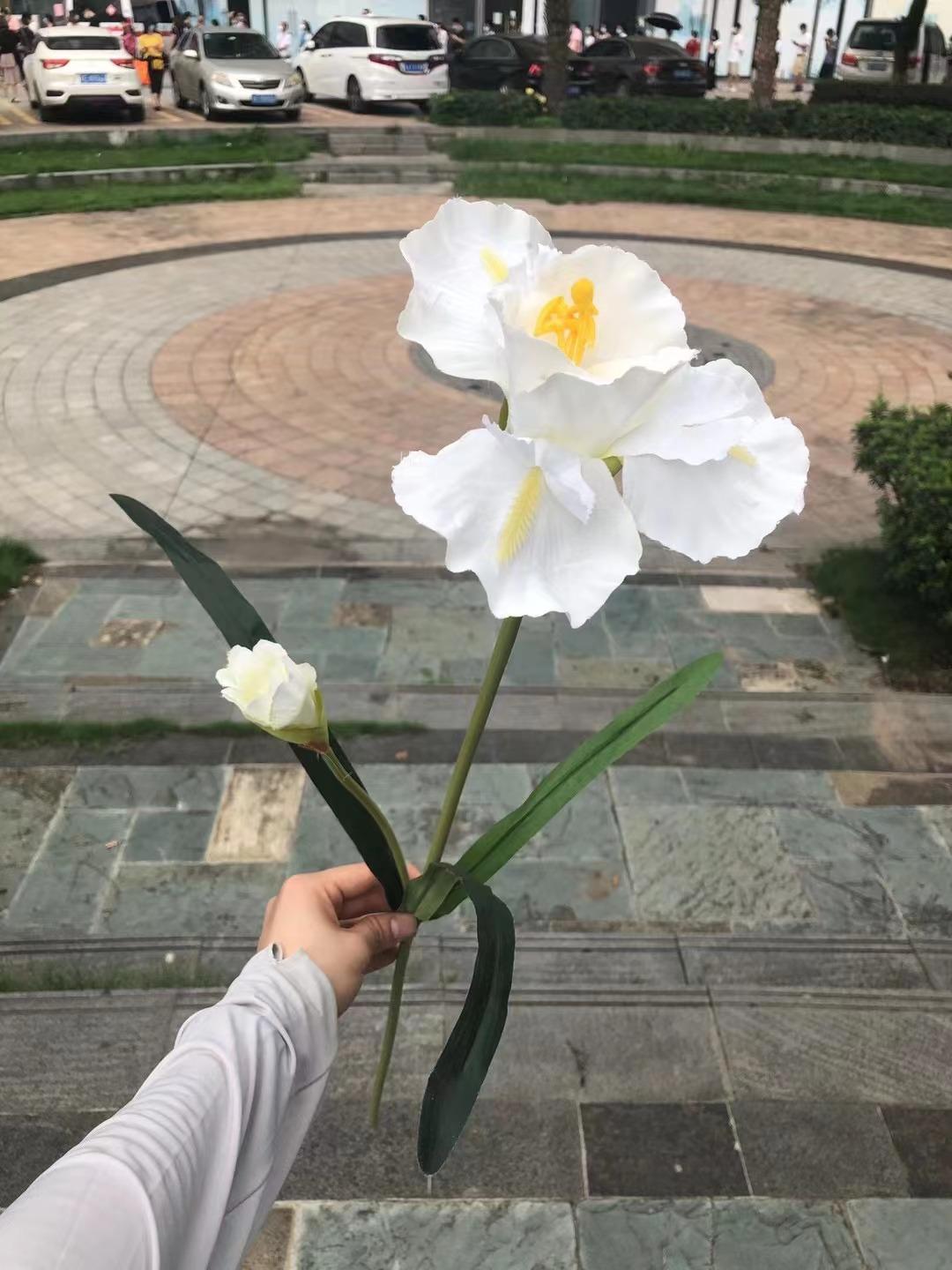 微信图片_20230324192321.jpg