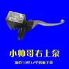 Bombas de Freno Izquierda y Derecha, Bombas de Freno de Disco Superiores e Inferiores, Triciclo Eléctrico, Vehículo Eléctrico, Bomba de Freno de Aceite para Motocicleta