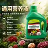 Solución Nutritiva Universal para Plantas de Jardín en Casa, Plantas Verdes, Plantas en Maceta, Bambú de la Suerte, Ficus Verde, Fertilizante de Solución Nutritiva Concentrada Hidropónica