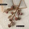 Nuevo Color de Otoño de Amazon Fruta del Monje Fruta Seca Fruta Artificial Hotel Decoración Retro Fotografía Floral Manualidades Accesorios