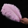Directo de fábrica 35-40 cm pluma de avestruz actuación en escenario color pluma grande diy decoración de boda flor avestruz