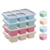 Caja de Almuerzo Compartimentada para Snacks de Paja de Trigo Transfronteriza Caja de Snacks Bandeja de Snacks de Cinco Compartimentos Caja de Frutos Secos Caja de Almuerzo para Conservar Frescura