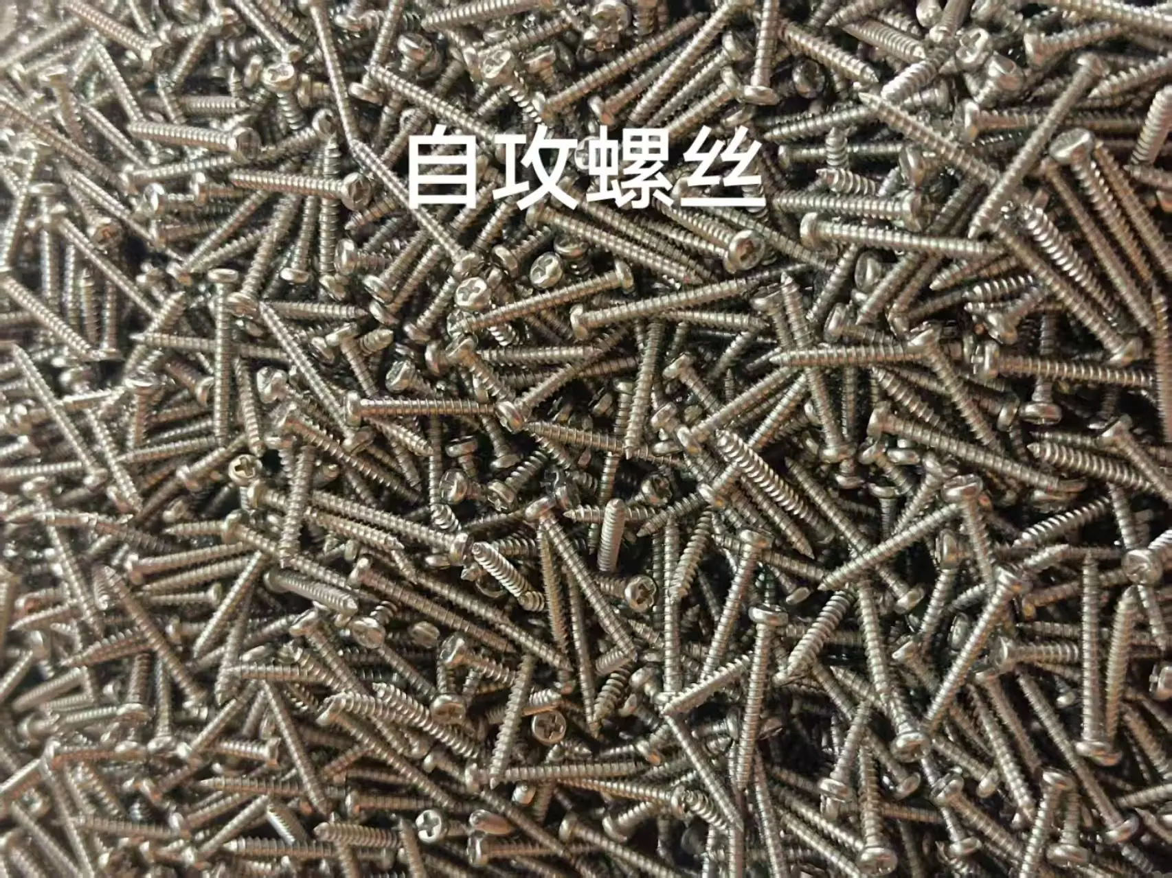 微信图片_20250211151537
