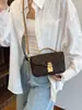 Bolso Cuadrado Pequeño para Presbicia para Mujer, Bolso de Lujo Accesible de Nicho Tofu para Mujer, Nuevo Bolso Bandolera de Hombro de Gama Alta 2025