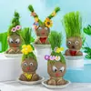 Muñeca de cabeza de césped muñeca floración planta de césped mini para niños en maceta interior balcón estilo TikTok hierba para gatos venta al por mayor
