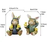 Estatua de conejo de Pascua, esculturas de conejos, figuritas coleccionables de primavera, adorno de conejo hermano con una sudadera con capucha y un pollito en sus manos, decoración de mesa de primavera verano de Pascua, regalo de Pascua, decoración para fiesta