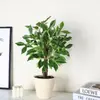 Plantas Verdes Simuladas, Árbol del Dinero de Lujo Accesible y Elegante, Adornos de Decoración para Sala de Estar Interior, Plantas Artificiales en Maceta, Paisajismo, Flores Artificiales, Plantas Biónicas