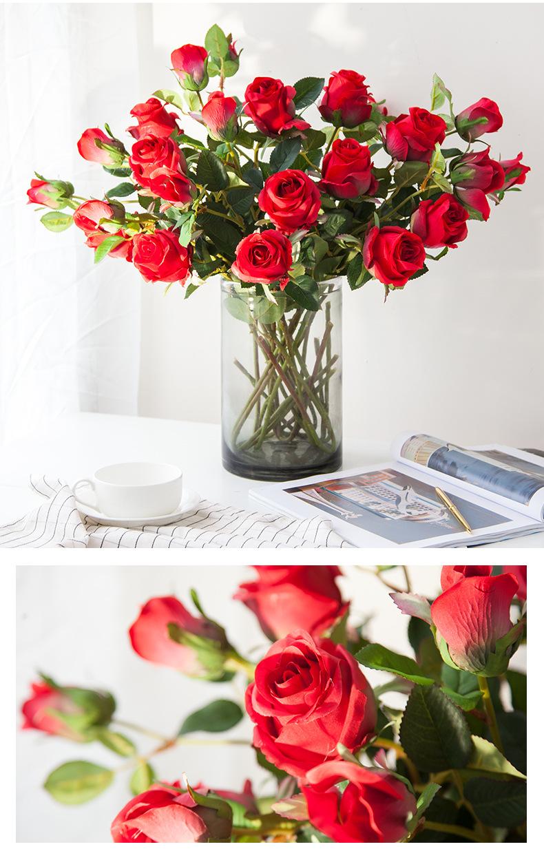 保加利亚玫瑰 (13).jpg