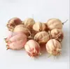 Casca de fruta faça você mesmo, pinha, lascas de madeira, folhas, flores secas, combinação de frutas secas, decoração de natal, decoração de jardim de infância, adereços retrô