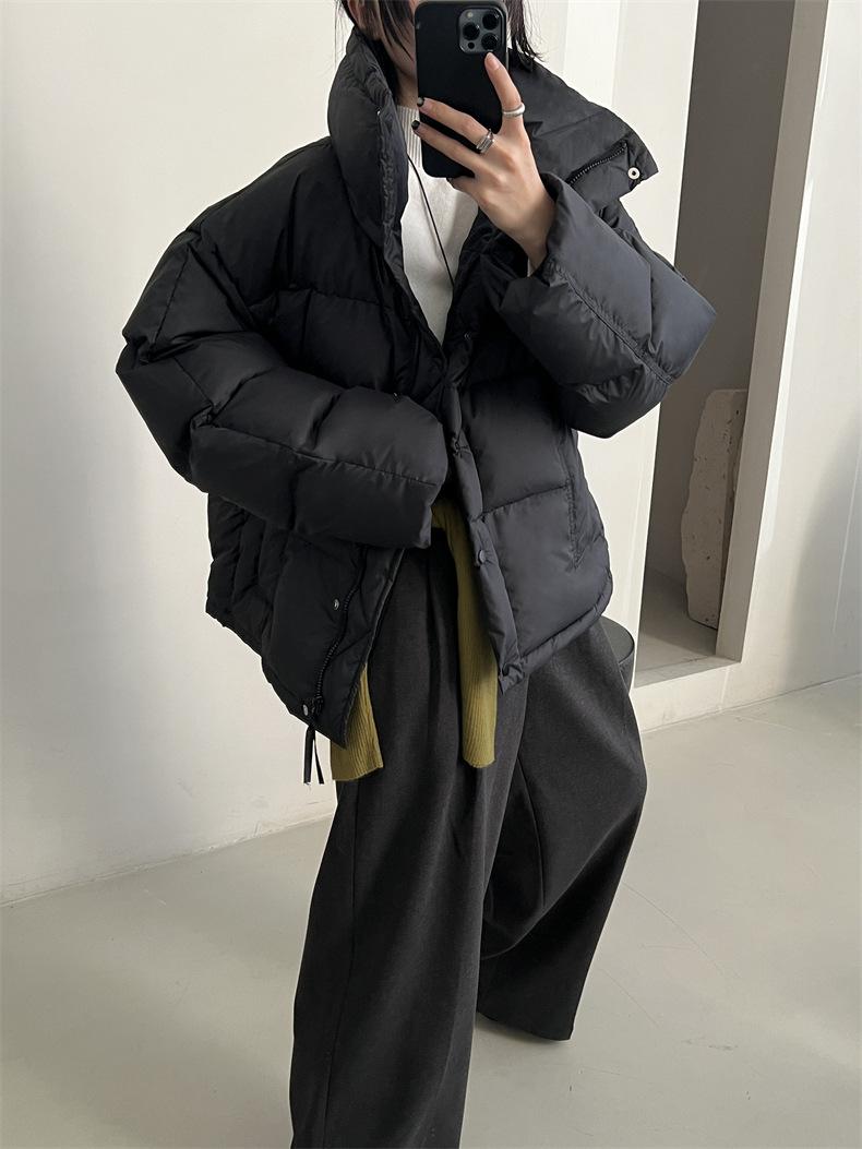 2024-11-26 145517.jpg