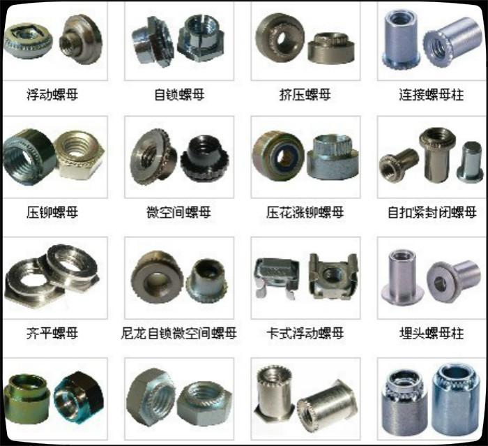 747046341_1062459106_meitu_3