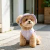 Ropa para Mascotas Verano Nuevo Estilo Ropa Refrigerante para Mascotas para Gatitos Sombrero Transpirable Chaleco Ropa para Perros Gatos Chaleco para Mascotas