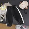 Calça Esportiva Estilo Coreano para Crianças Maiores, Coleção Outono 2026, Calça Longa Casual para Meninos e Meninas, Calça de Moletom Infantil, Estilo Fino